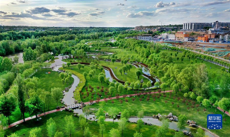 （新華全媒頭條·聚焦生物多樣性大會(huì)·圖文互動(dòng)）（4）攜手同行，開啟人類高質(zhì)量發(fā)展新征程——習(xí)近平主席在《生物多樣性公約》第十五次締約方大會(huì)領(lǐng)導(dǎo)人峰會(huì)上的主旨講話解讀