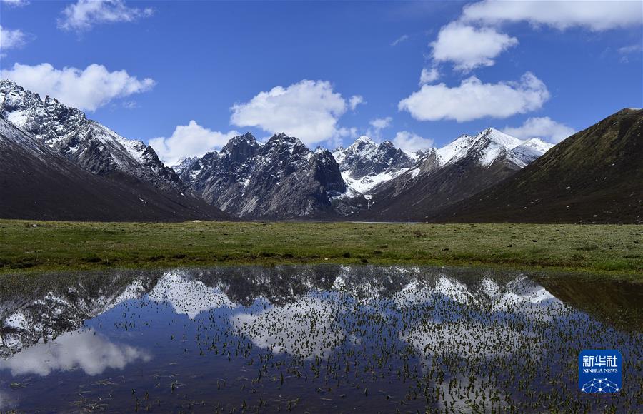 （新華全媒頭條·聚焦生物多樣性大會(huì)·圖文互動(dòng)）（7）攜手同行，開啟人類高質(zhì)量發(fā)展新征程——習(xí)近平主席在《生物多樣性公約》第十五次締約方大會(huì)領(lǐng)導(dǎo)人峰會(huì)上的主旨講話解讀